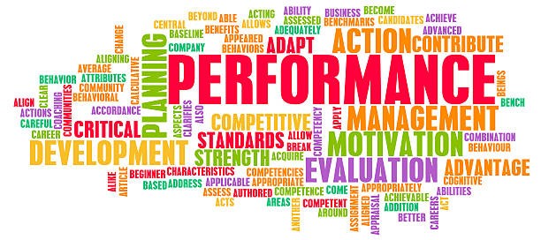 Word cloud of performance management and accountability terms